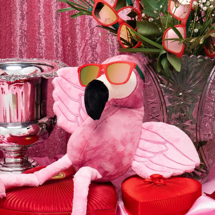 Goodr T6H2X37 carl est épineux et prêt à forni