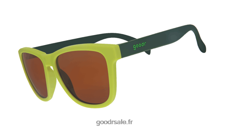 Goodr T6H2X43 vend sa maison, achète des avocats